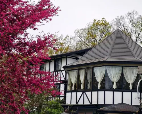 Floral Hotel · Sakura-zaka Onsen (Izu Kogen Omuroyama) Hotels in Itō