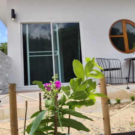 MON'TA HOMESTAY