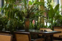浮光隅舍|觀雪山空間美學智慧生活館（白沙古鎮店） - 早餐
