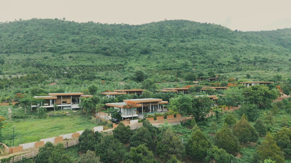 Amaya Kampot