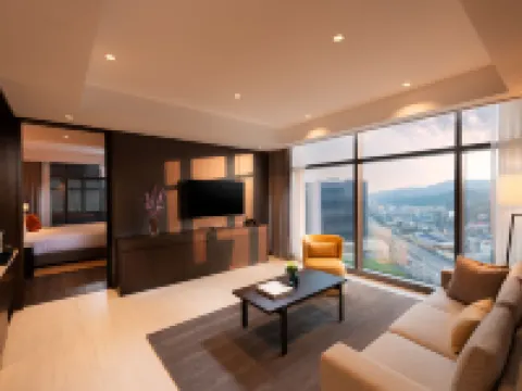 首爾板橋希爾頓逸林酒店 城南市酒店