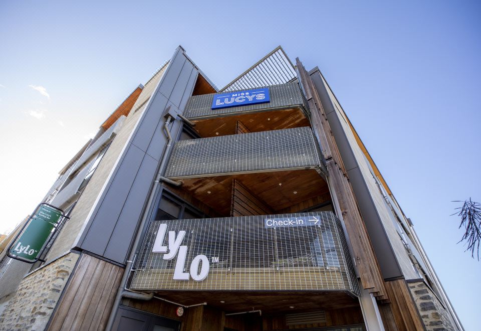 3. 주시 스누즈 퀸..