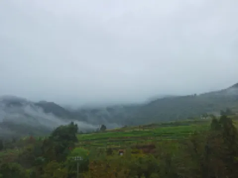 Village Juli Homestay