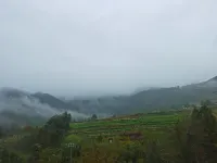 Village Juli Homestay