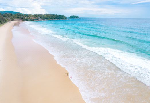 타본 팜 비치 리조트 푸켓의 푸른 정원과 수영장 전경