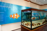 SAii Phi Phi Island Village - Gym