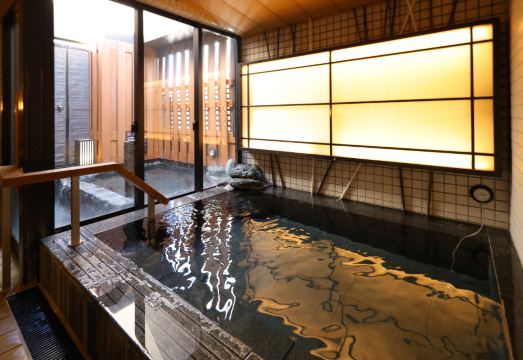 도미인 우에노 오카치마치