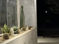 Tihu Homestay โรงแรมใกล้Wanlü Lake · Wanlü Valley Resort