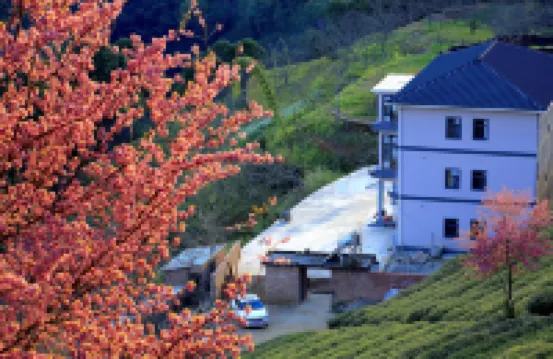 煦和居民宿（無量山櫻花谷店）