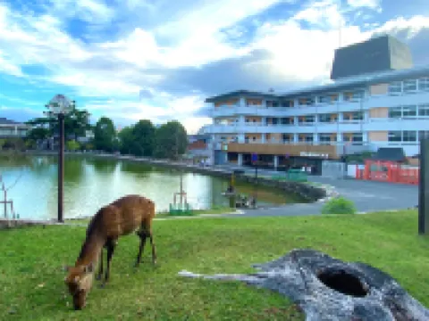 Hotel Tenpyo Naramachi Hotels in Nara