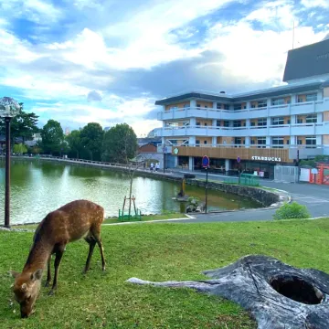 Hotel Tenpyo Naramachi Отели рядом с достопримечательностью «Национальный музей Нары»