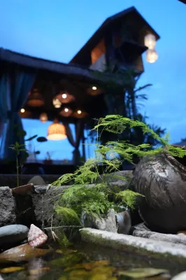 Four rooftop garden youth hostels