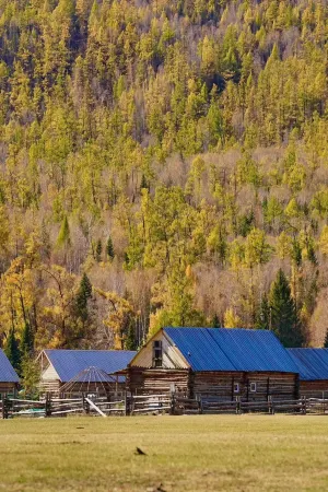 Senmai Designer Coffee Homestay (Kanas Scenic Area Branch) Отели рядом с достопримечательностью «Genghis Khan Point Sets»