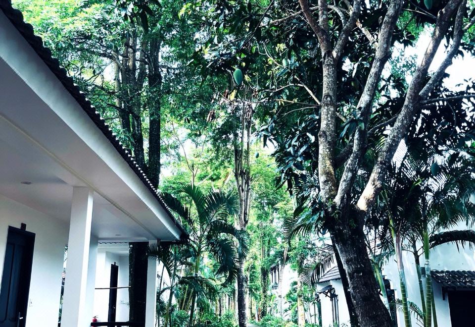 Nos Vetra Resort 위치 이미지