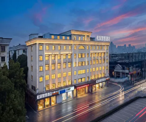 Squirrel Smart Hotel (Window of the World Branch)