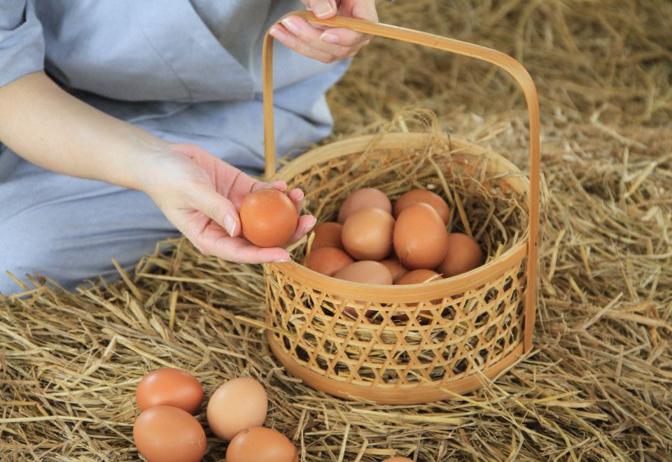 2. 탄 웰니스 데스..