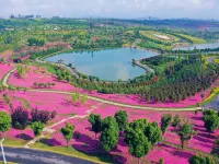 Taiping Lake Forest Chalet Hotel Hotels in Mile City