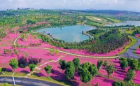 Taiping Lake Forest Chalet Hotel