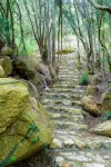 Licheng Art Homestay