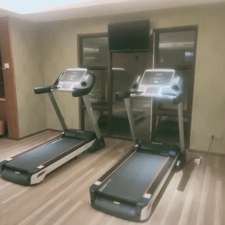 Vienna International Hotel (Baoting Center)