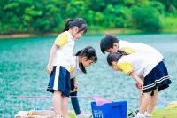 The Lake's Campground