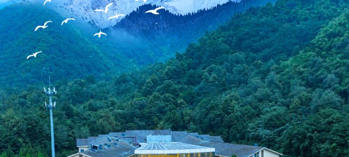 Lutang Hot Spring Resort Hotels in Mianzhu