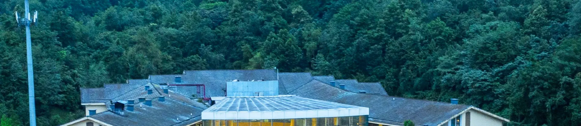 Hot Spring Hotels