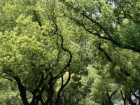 長沙麓趣裏ホテル（嶽麓山大学城） 湖南大学周辺のホテル