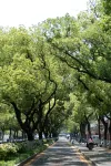 Changsha Luquli B&B (Yuelushan University City Branch) - pemandangan pegunungan