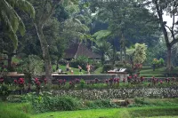 Ijen Resort and Villas - The Hidden Paradise - piscina