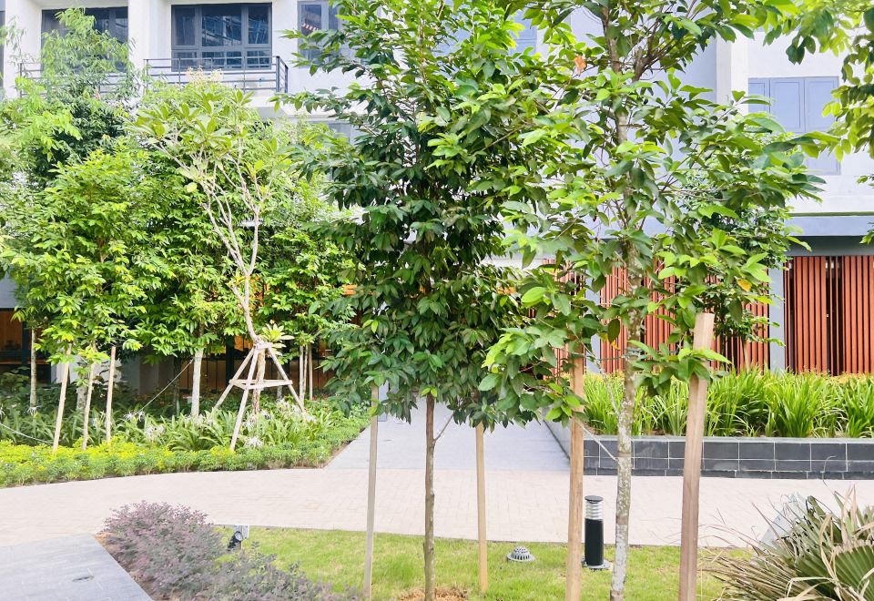 Agile Bukit Bintang MRT 노선도