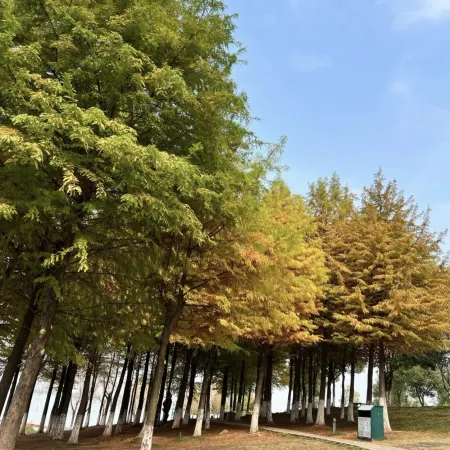 Changsha County Jichu Hotel