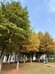 吉呈飯店（吾悅廣場店） - 浪漫/情侶