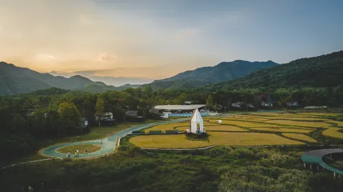 TREE WOW Hotels in Fenyi