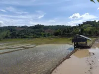 Chinopuu Hut Homestay Muangkong