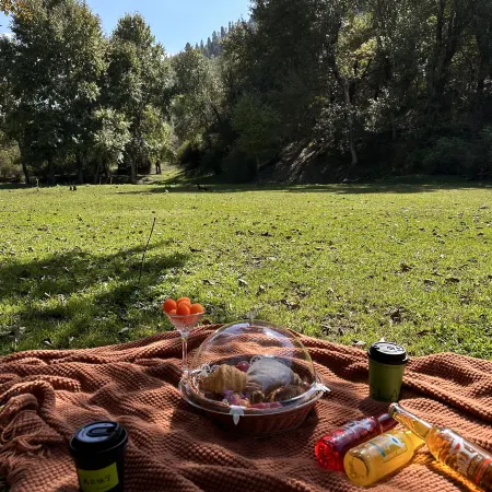 VALLEY CAMP