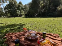 VALLEY CAMP