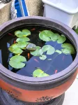 Yingcheng Garden Accommodation (Zibo Ceramics Liuliguan Fuli Wanda Plaza)