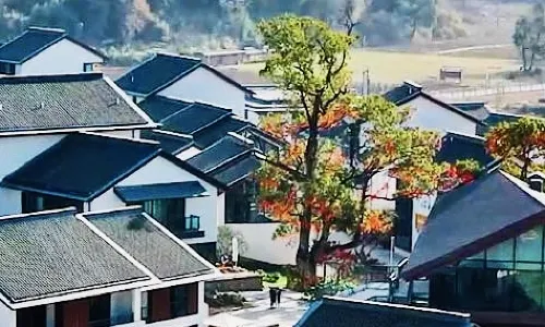 Fu liang Gaoling China Village Hua kai Xing fu li Hotel