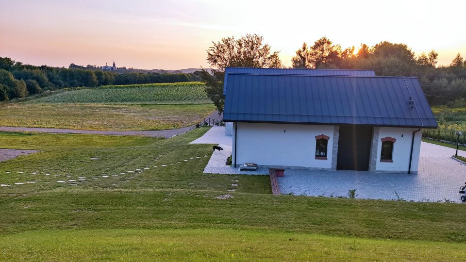 NOVI Vineyard