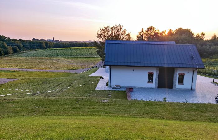 NOVI Vineyard