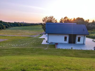 NOVI Vineyard