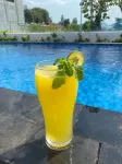 Dsvarga Glamping & Resto - piscine