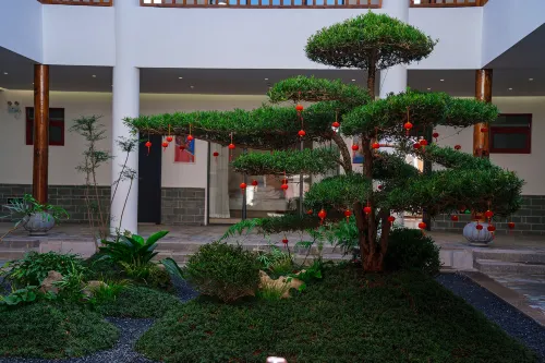 Jianshui yunshui Hotel - ห้องครัว