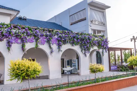 Huocheng Manxin Homestay (Manxin Wangyougu) Отели рядом с достопримечательностью «Xinyi Self-Drive Campground (Sayram Lake Branch)»