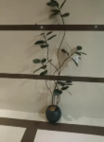 Beitun Xueqin Business Hotel