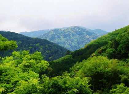 시라카베소