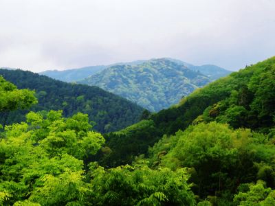 施設外観 白壁荘の写真