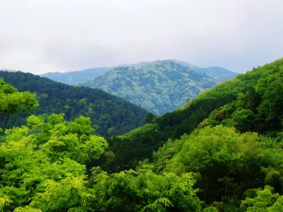Shirakabeso Hotels near Toi Gold Mine