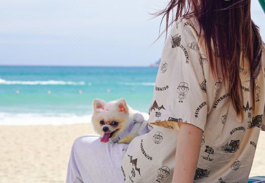 메리어트 객실 내부